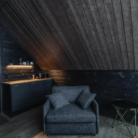 Northern Lights Village Pyhae 4* 파이하튠튜리