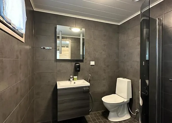 Northern Lights Village Pyhae Resort