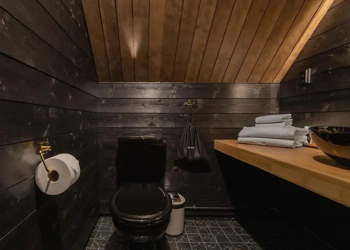 Northern Lights Village Pyhae אתר נופש פיהטונטורי