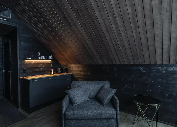 Northern Lights Village Pyhae 4* פיהטונטורי